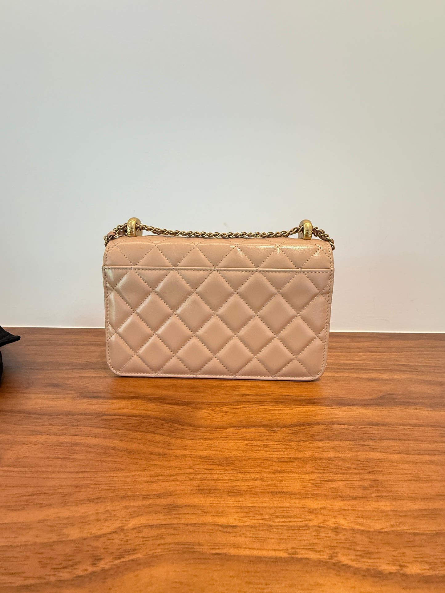 CHANEL Perfect Fit Wallet on Chain in Beige.