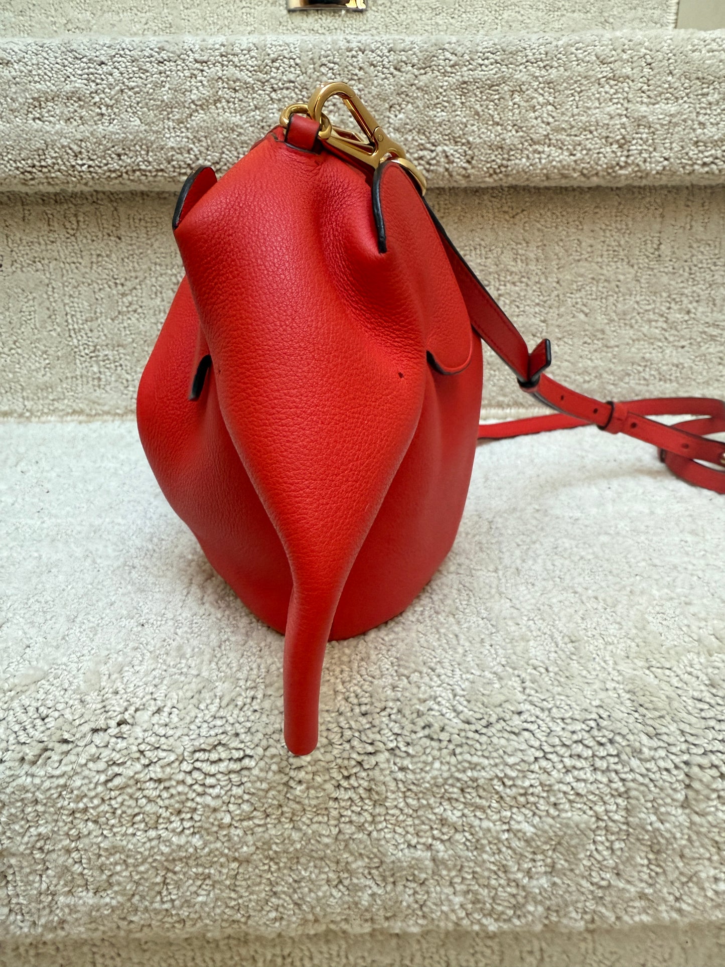 Loewe Elephant small Bag in Red