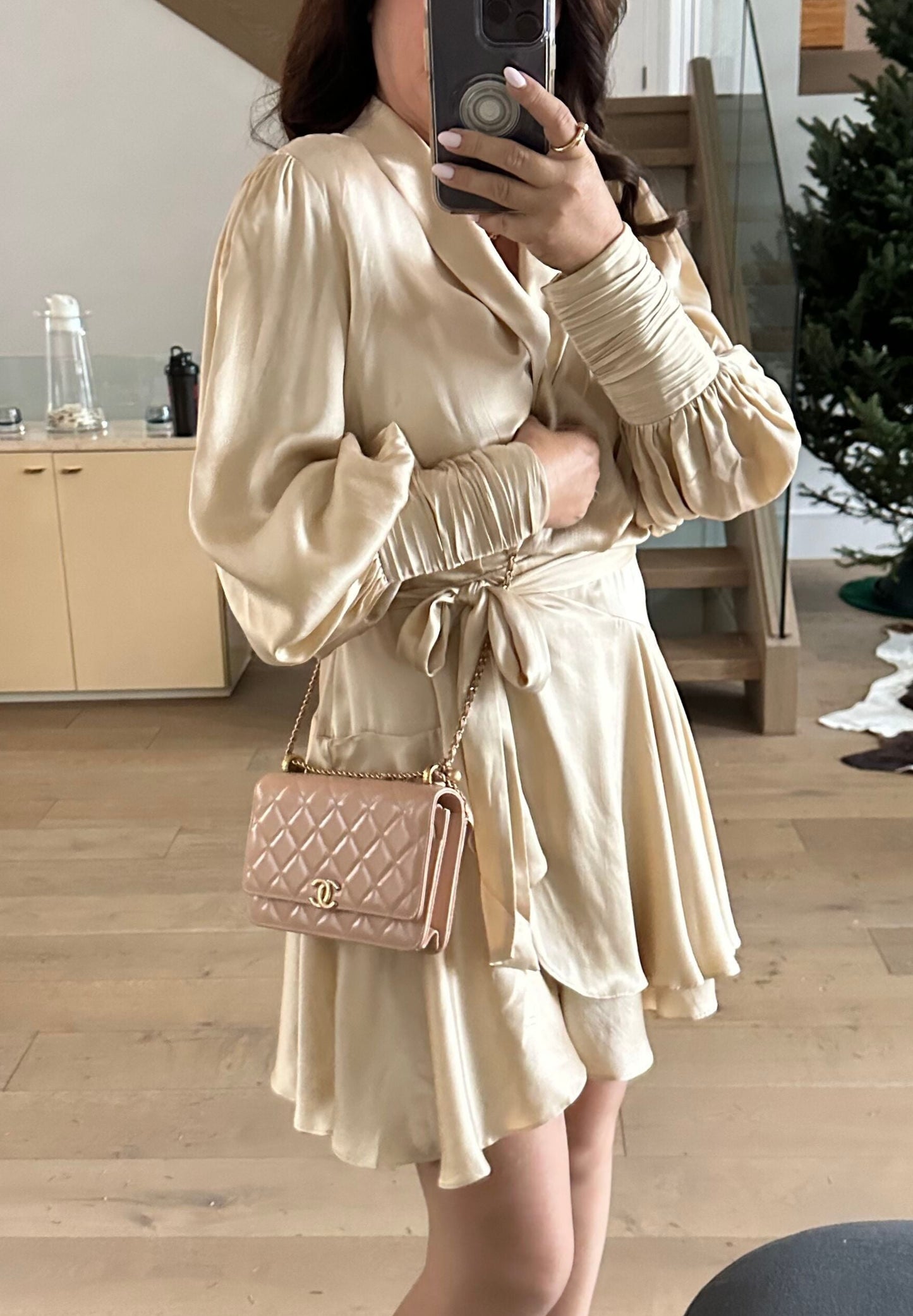 CHANEL Perfect Fit Wallet on Chain in Beige.