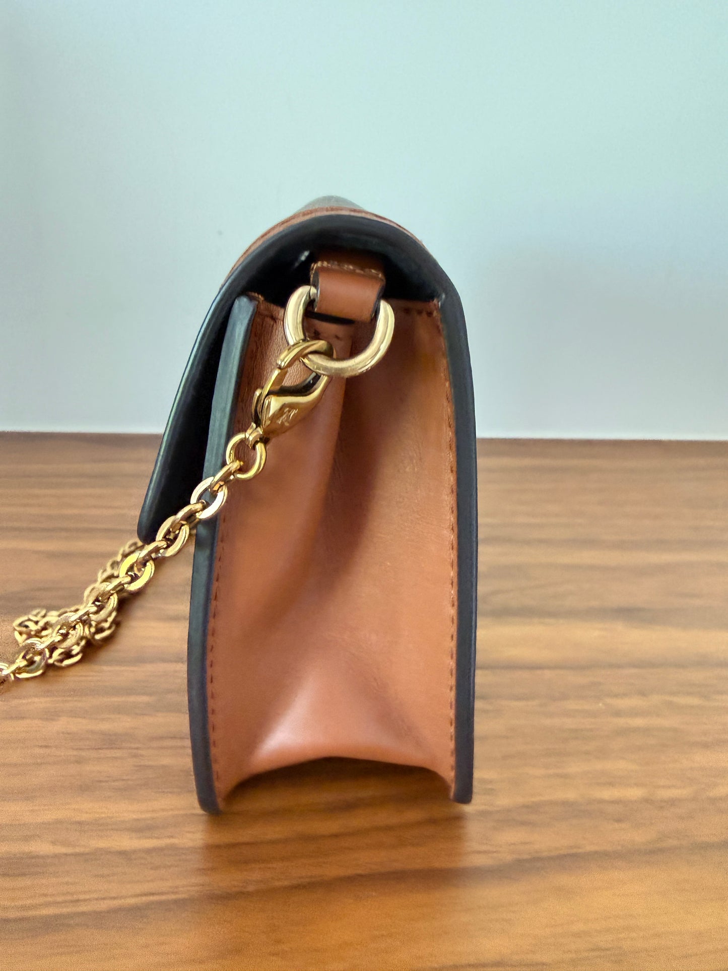 Louis Vuitton Dauphine Reverse Monogram Chain Wallet Pre-Owned