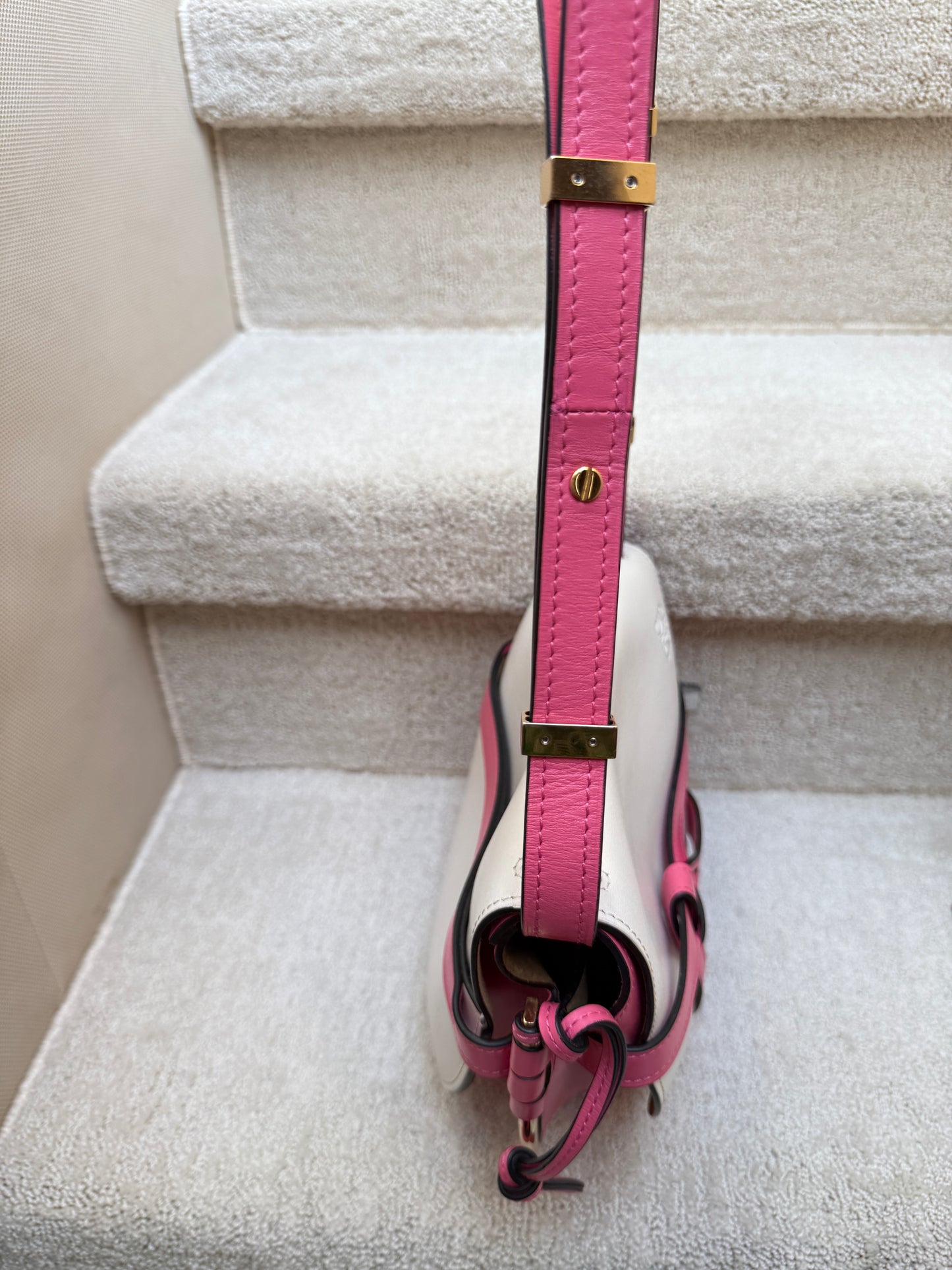 Loewe dual gate crossbody bag