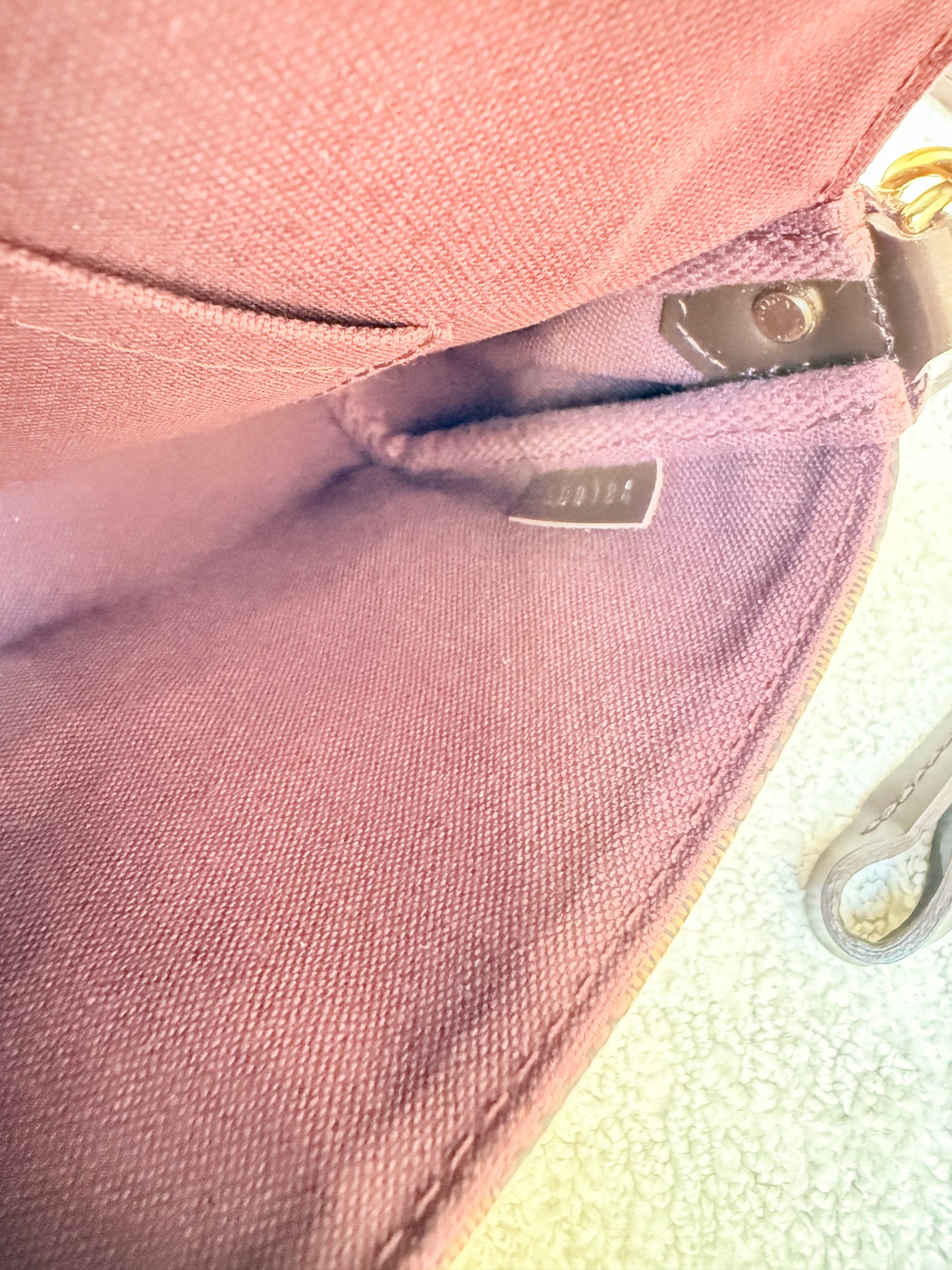 Louis Vuitton Favorite Handbag in Damier Ebene Coated Canvas