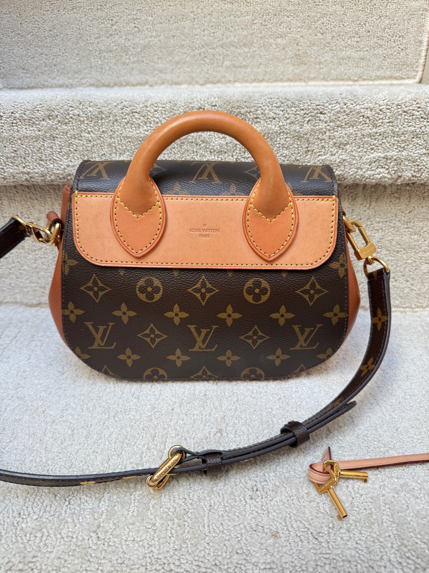 Louis Vuitton Eden Handbag PM in Monogram and Brown Leather