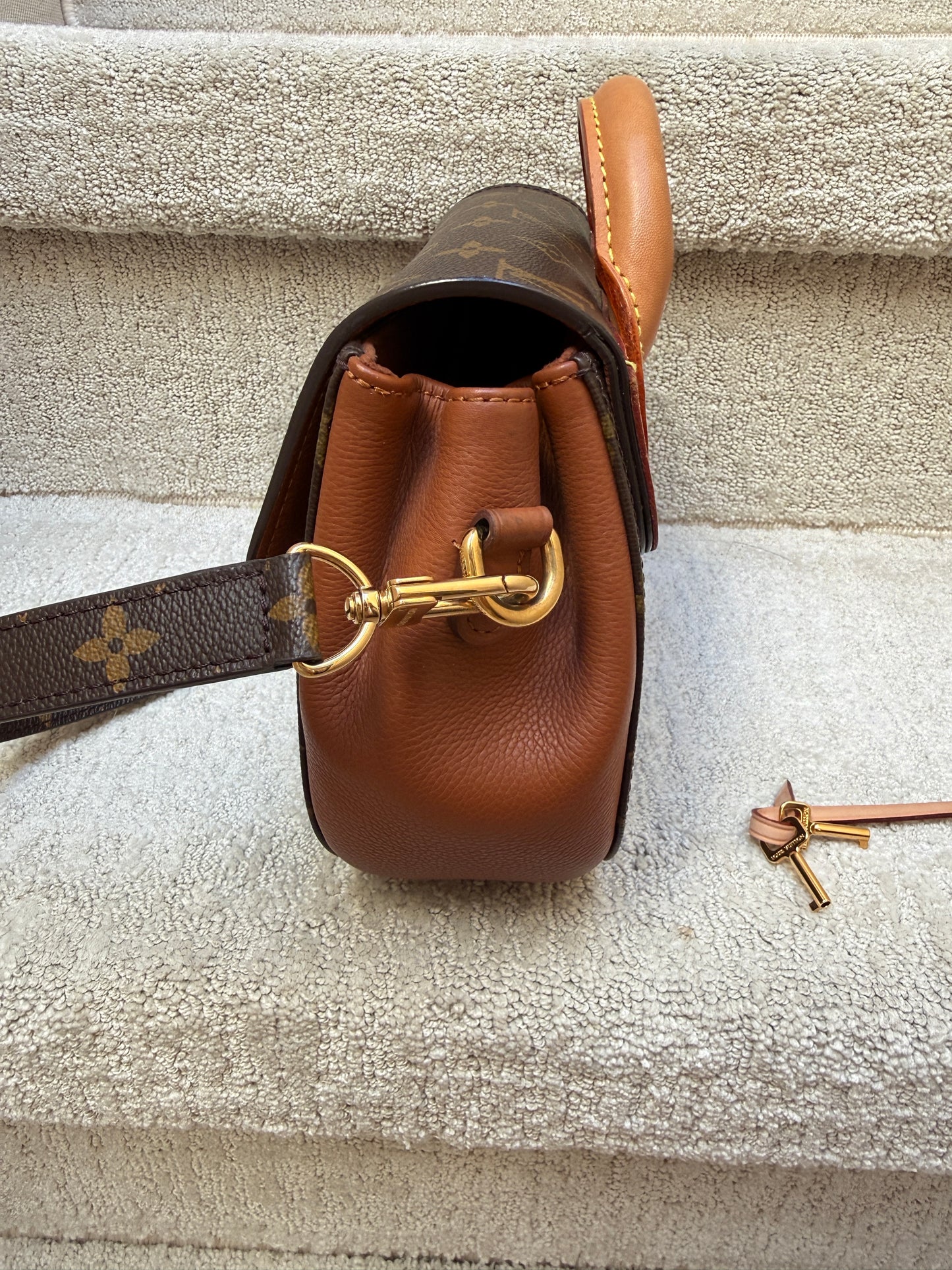 Louis Vuitton Eden Handbag PM in Monogram and Brown Leather