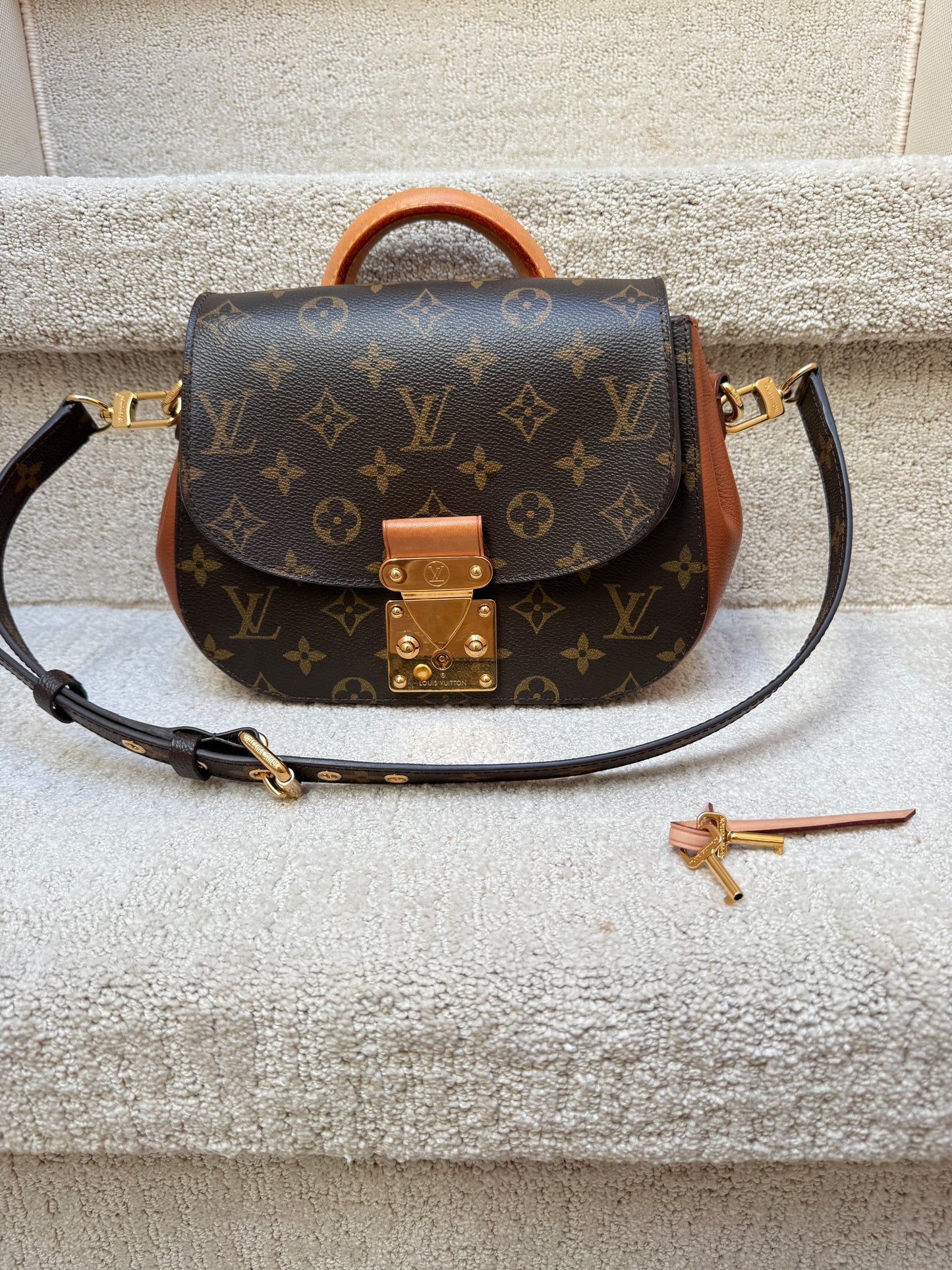 Louis Vuitton Eden Handbag PM in Monogram and Brown Leather