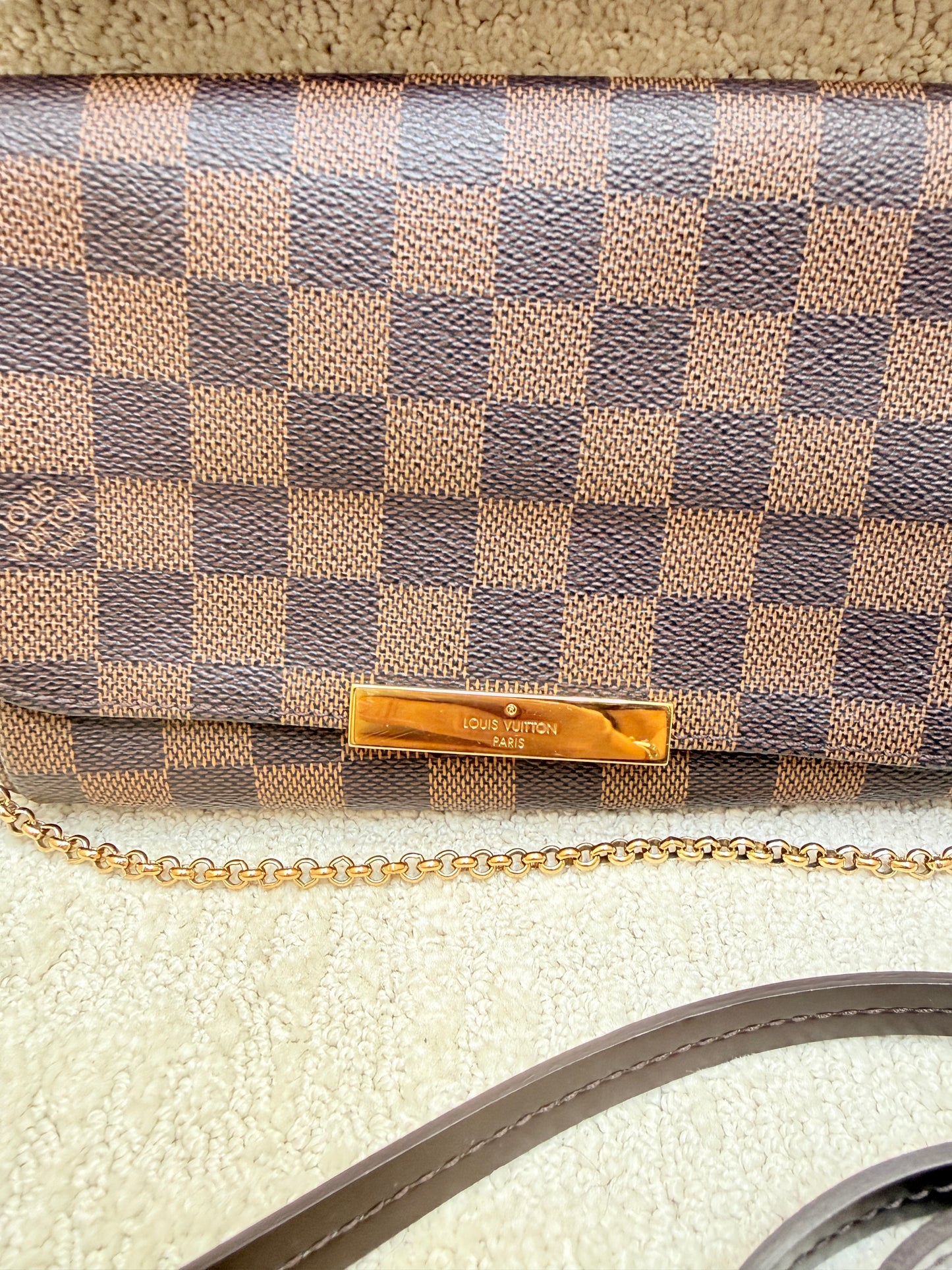 Louis Vuitton Favorite Handbag in Damier Ebene Coated Canvas