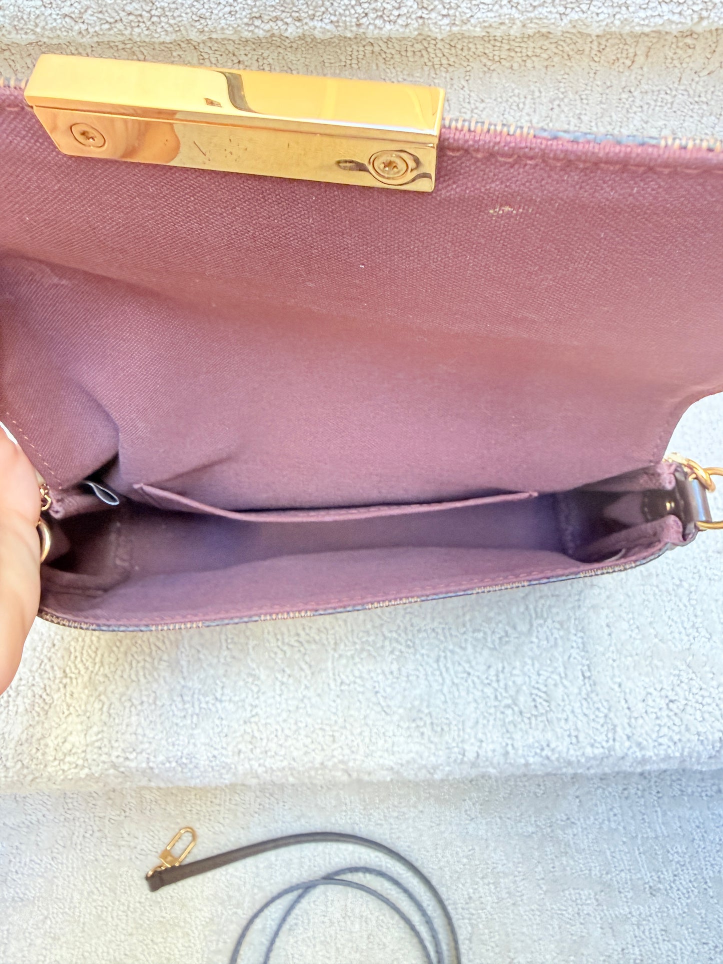 Louis Vuitton Favorite Handbag in Damier Ebene Coated Canvas