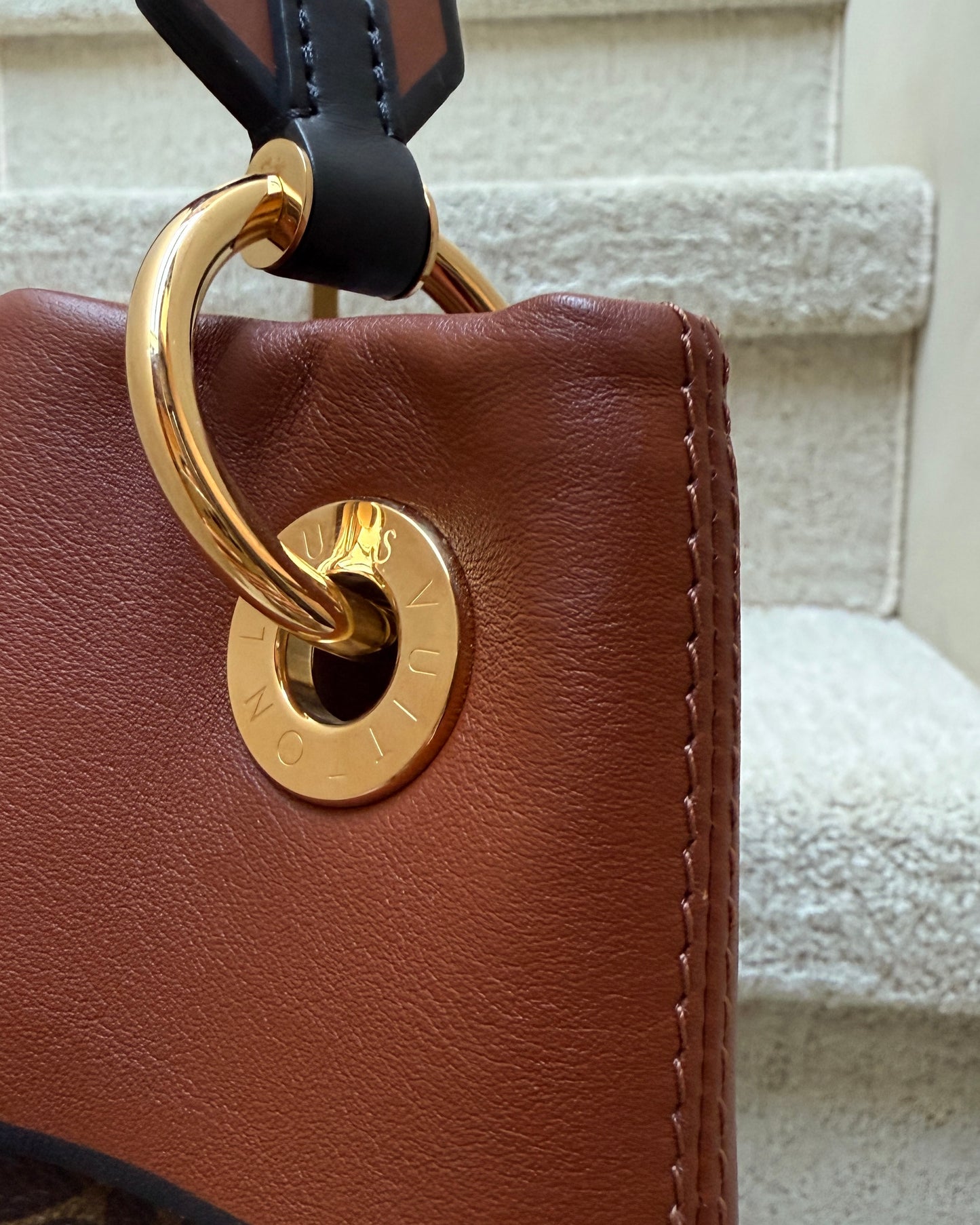 Louis Vuitton Tuileries Hobo Bag in Caramel Brown